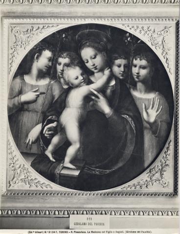 Alinari, Fratelli — Torino - R. Pinacoteca. La Madonna col Figlio e Angioli. (Girolamo del Pacchia) — insieme
